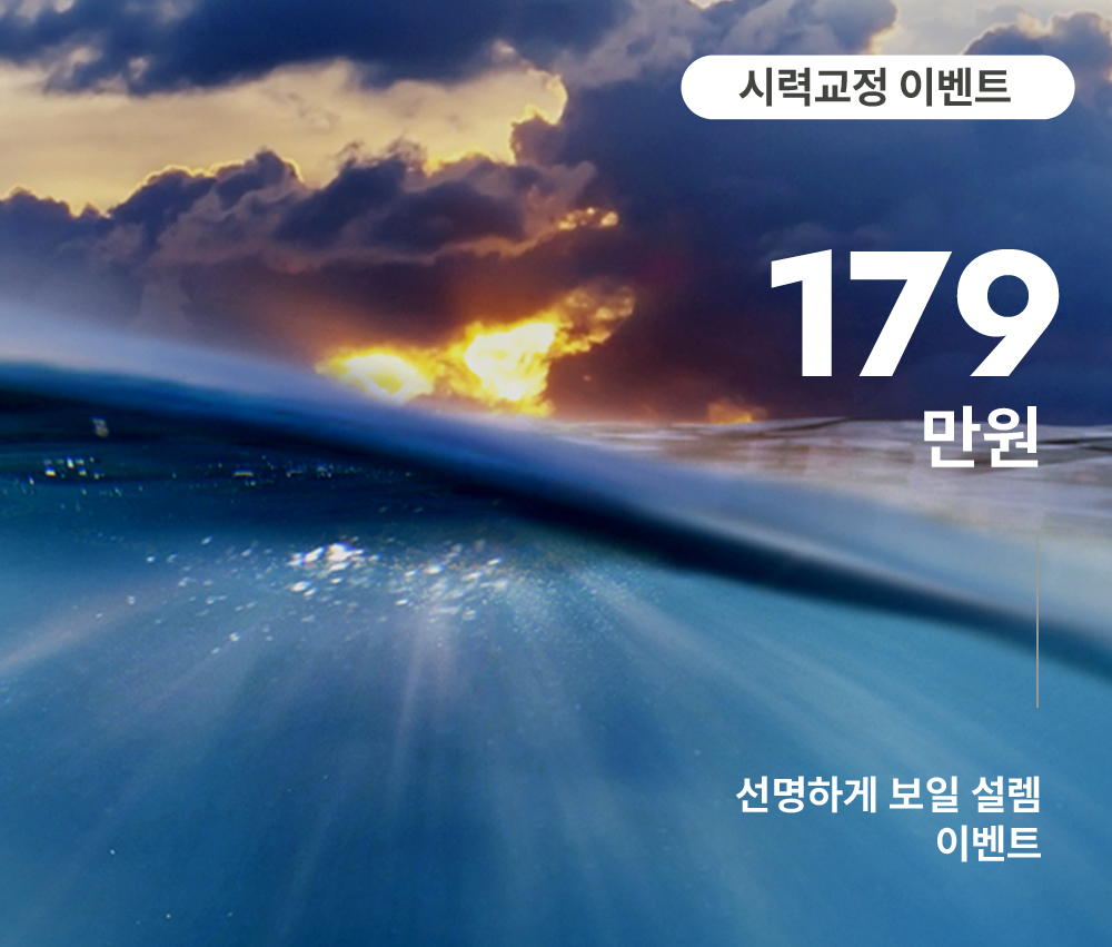 11월 이벤트